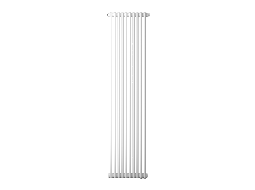 �������� ��������� �������� Zehnder 2200 Charleston 10 ������