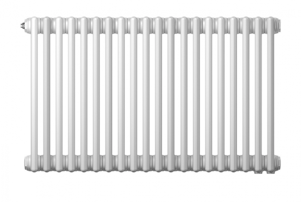 �������� ��������� �������� Zehnder Charleston 3050 �/� (20 ������)