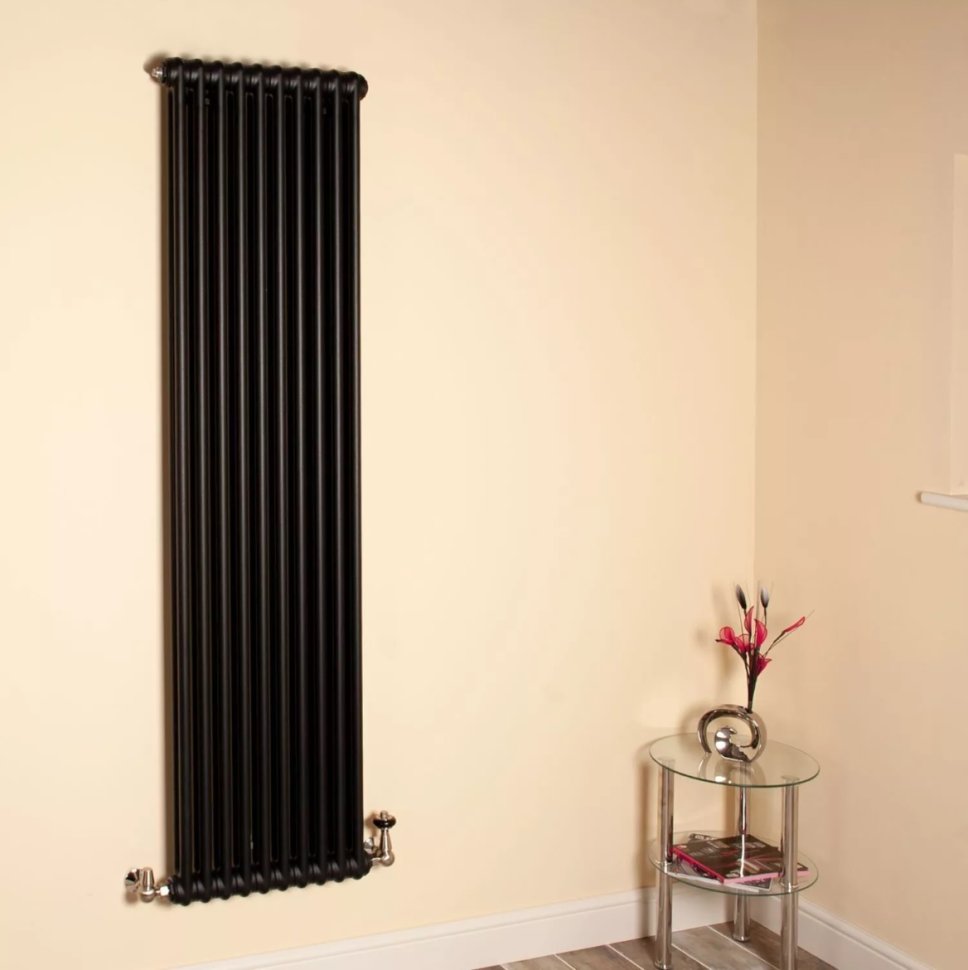 �������� ��������� �������� Zehnder 2180 V001 Charleston 10 ������ 9205