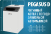 ������� ��������� ����� Ferroli PEGASUS D 32 � ����������� ��������