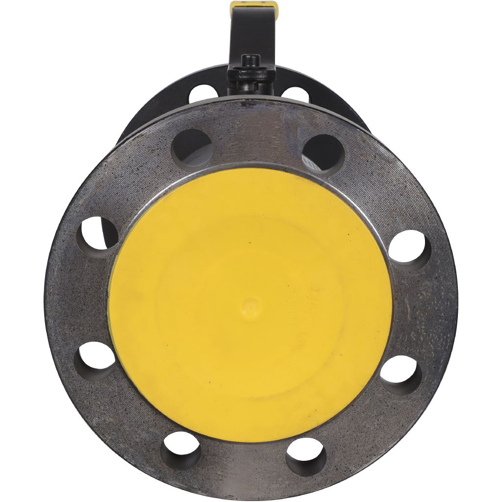 ���� ������� �������� ����� 11�10�� �/� DN 065 PN 16 ��� ��������������