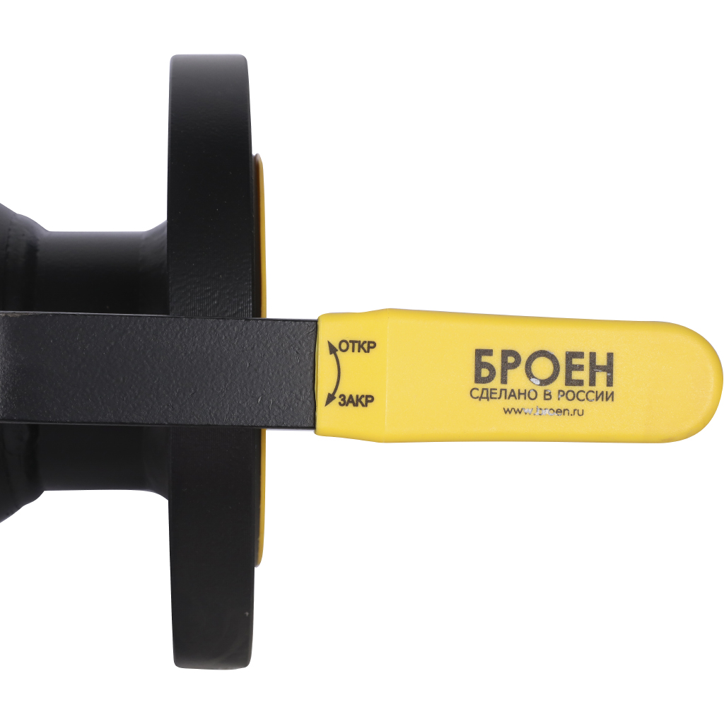 ���� ������� �������� ����� 11�10�� �/� DN 065 PN 16 ��� ��������������