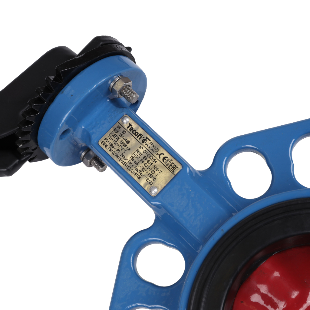 ������ ���������-�������� Tecofi VPI4448 DN 80 PN 16 ������������ � ������ �� ������ EPDM