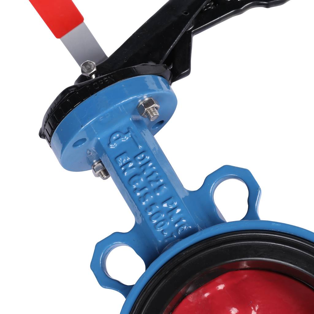 ������ ���������-�������� Tecofi VPI4448 DN 125 PN 16 ������������ � ������ �� ������ EPDM