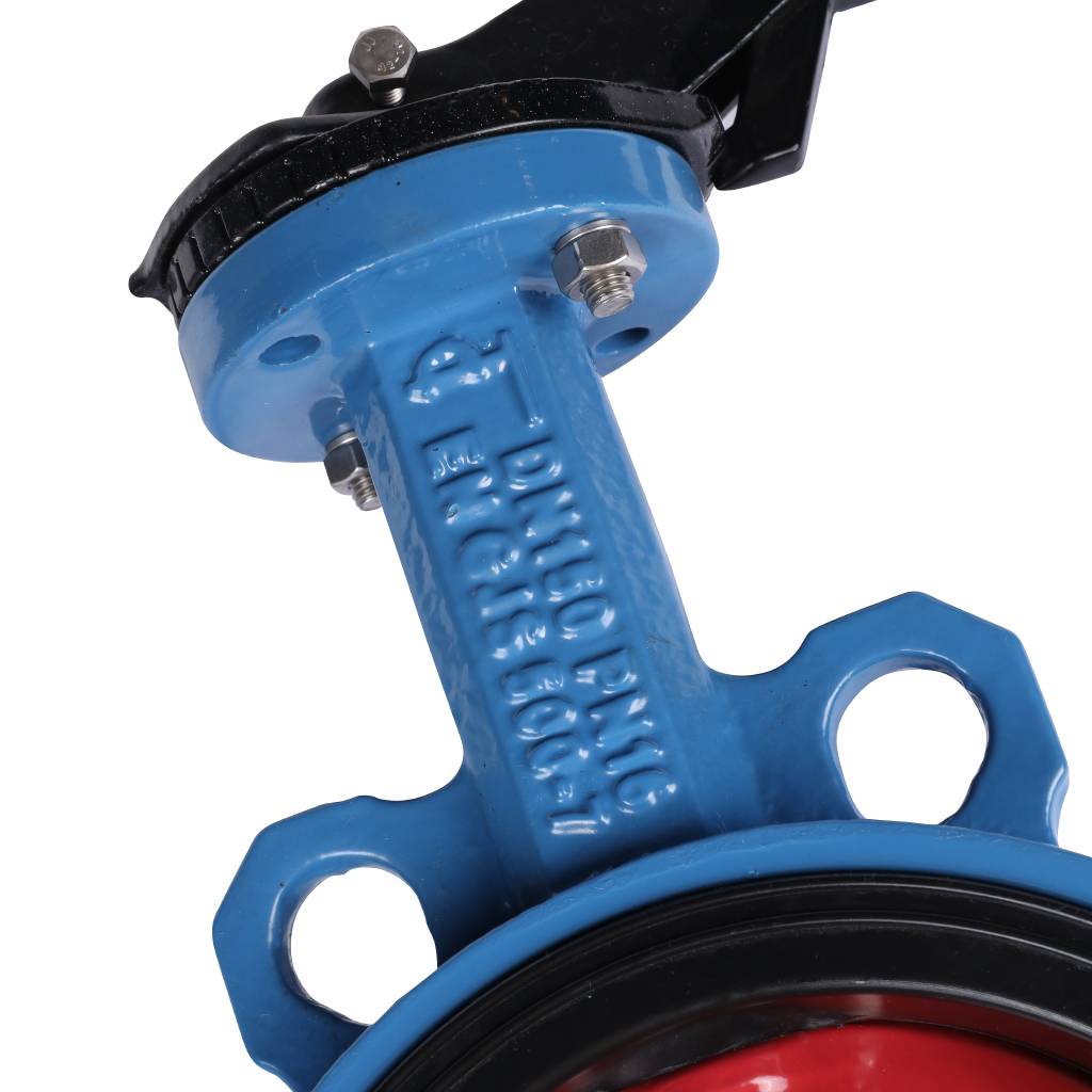 ������ ���������-�������� Tecofi VPI4448 DN 150 PN 16 ������������ � ������ �� ������ EPDM