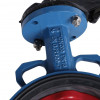 ������ ���������-�������� Tecofi VPI4448 DN 200 PN 16 ������������ � ������ �� ������ EPDM