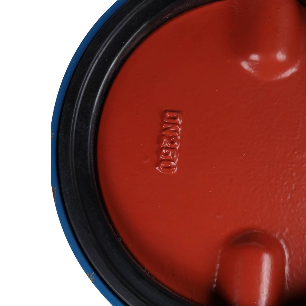 ������ ���������-�������� Tecofi VPI4448 DN 250 PN 16 ������������ � ������ �� ������ EPDM