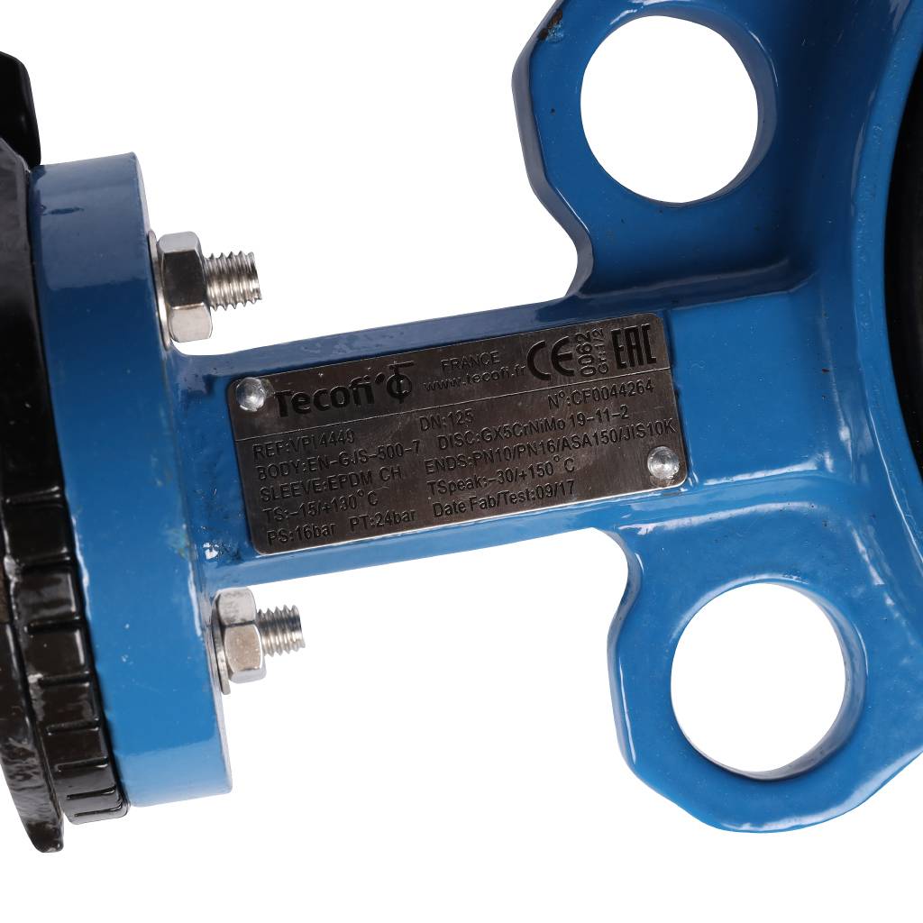 ������ ���������-�������� Tecofi VPI4449 DN 125 PN 16 EP �� ������