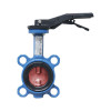 ������ ���������-�������� Tecofi VPI4448 DN 300 PN 16 ������������ � ������ �� ������ EPDM