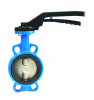 ������ �������� ���������� FAF Valve 3550 DN 250 PN 16 ������������ �� ������ EPDM � ���������