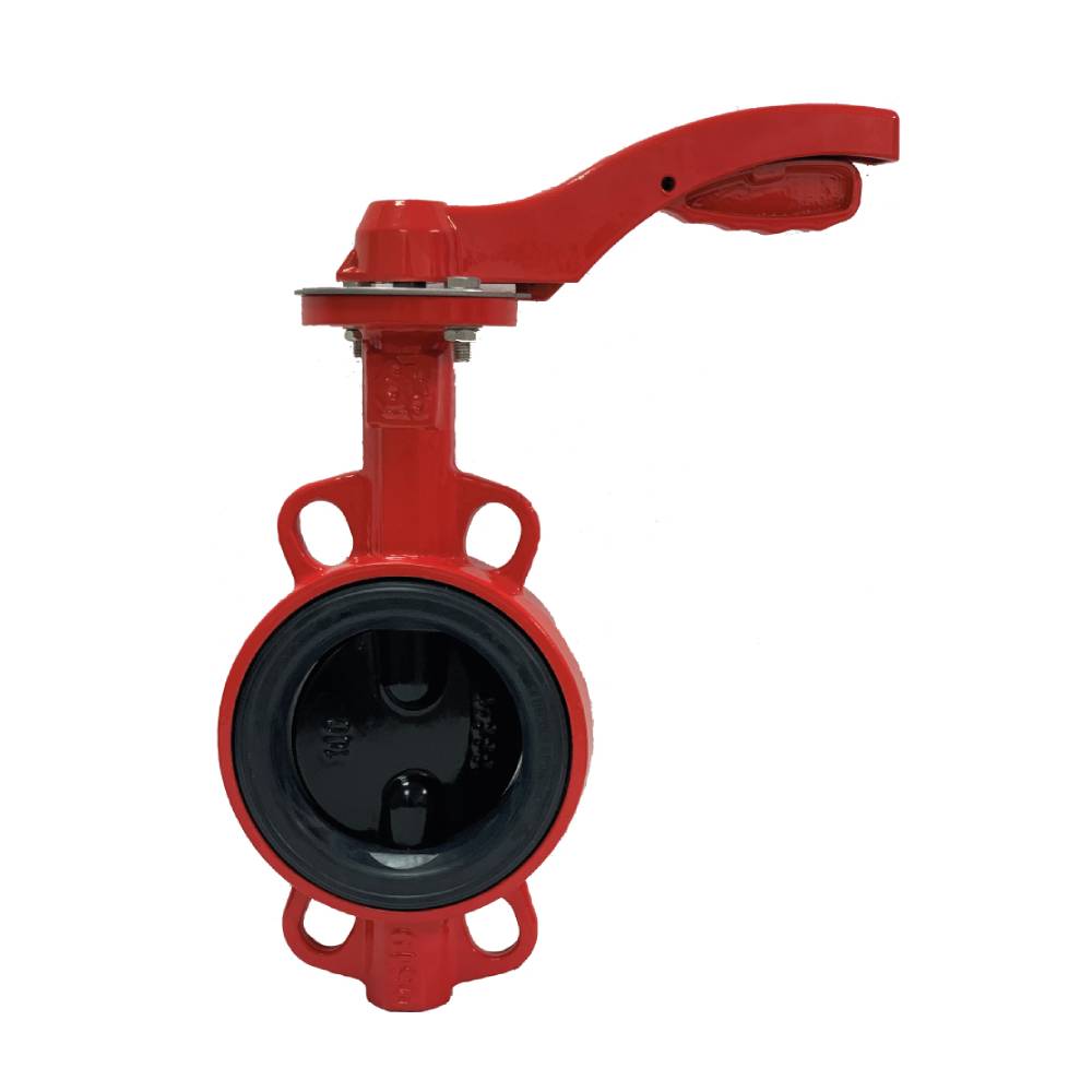������ �������� ���������� ������� DN200 PN16, GG25 / GGG40 / EPDM, �/� � ���������