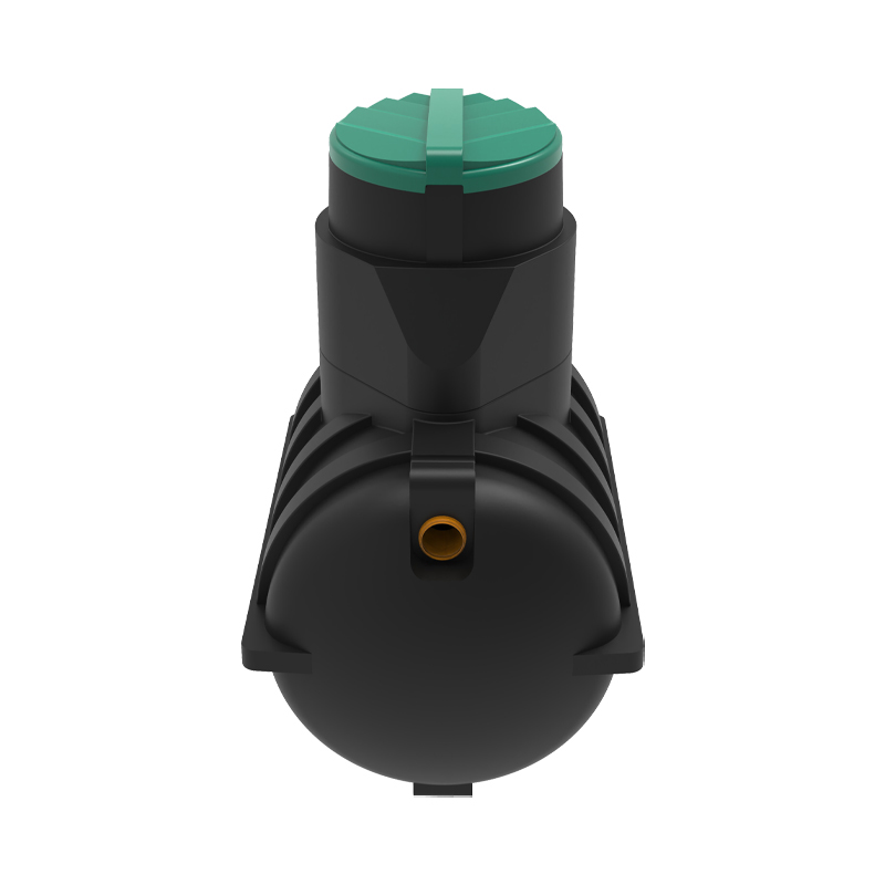 ������ Rostok ������
