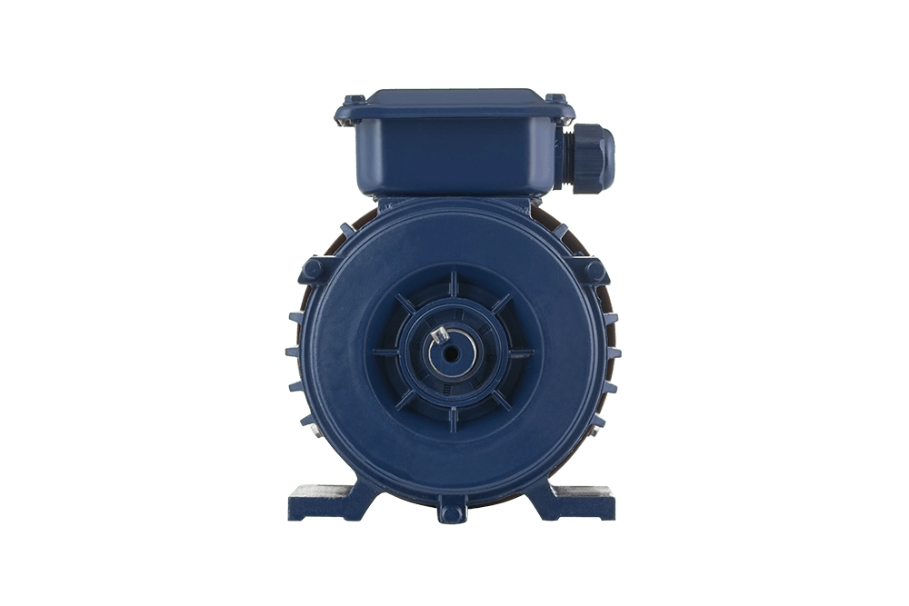 ���������������� ������������ ��� ��� 100L6 IM1081 (2.2 ���, 1000 ��/���)