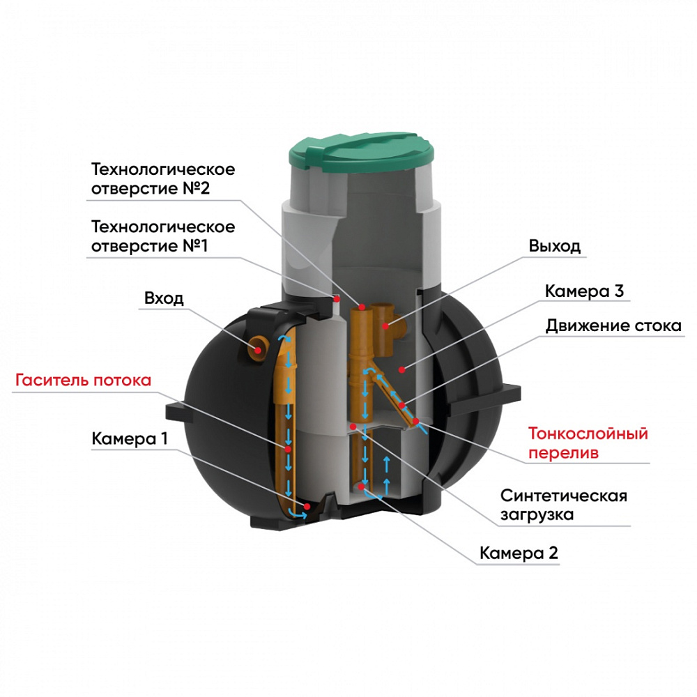 ������ Rostok ����