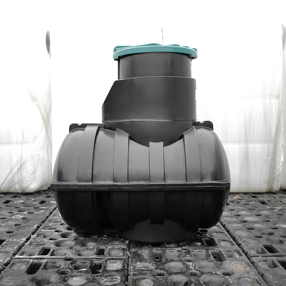 ������ Rostok ������
