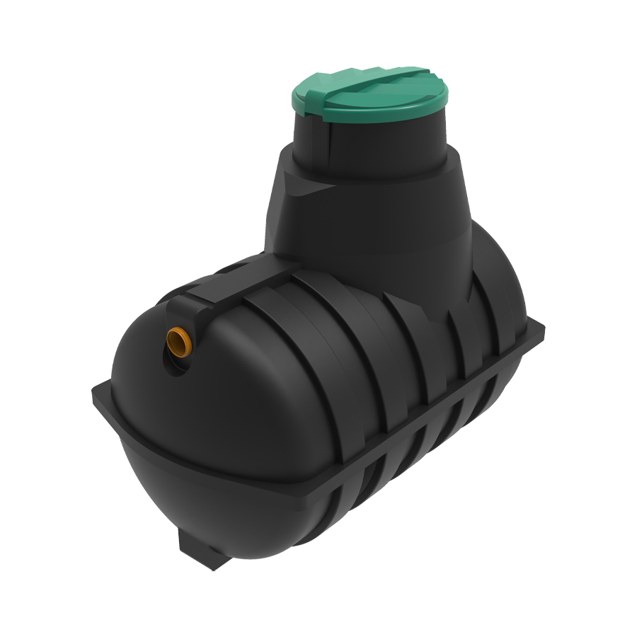 ������ Rostok ����������